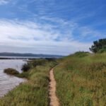 path-along-lagoon