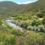 river-through-green-mountains