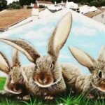 rabbit-mural