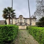 house-with-palm-trees
