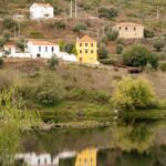 yellow-house-reflection