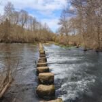 river-stepping-stone