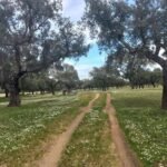 cork-walk