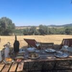picnic