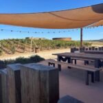 vineyards