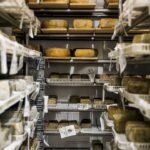 cheese-dairy