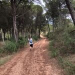 forest-path