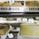 local-cheese