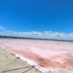 pink-salt-pan