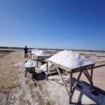 salt-piles