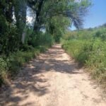 trail
