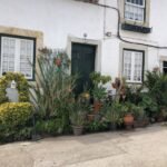 village-house