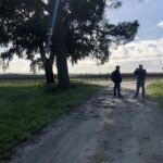 vineyard-intersection