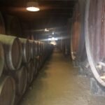 wine-barrels