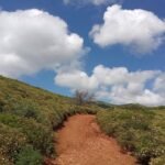 coastal-trail