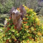 local-fauna