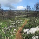 rocky-path