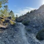 dirt-track