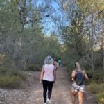 forest-path