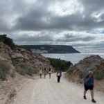 trail-views
