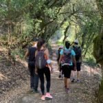 trail-views