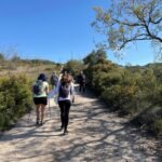 trail2