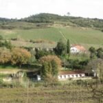 vista