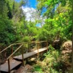 waterfall-bridge