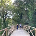 wooden-bridge